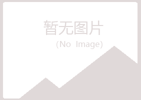 青海夏日音乐有限公司